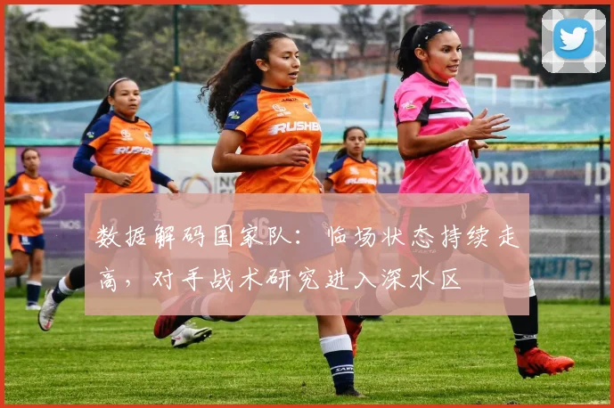 数据解码国家队：临场状态持续走高，对手战术研究进入深水区