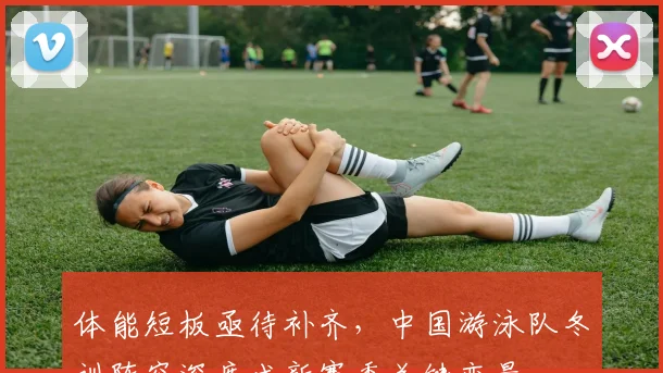 体能短板亟待补齐，中国游泳队冬训阵容深度成新赛季关键变量